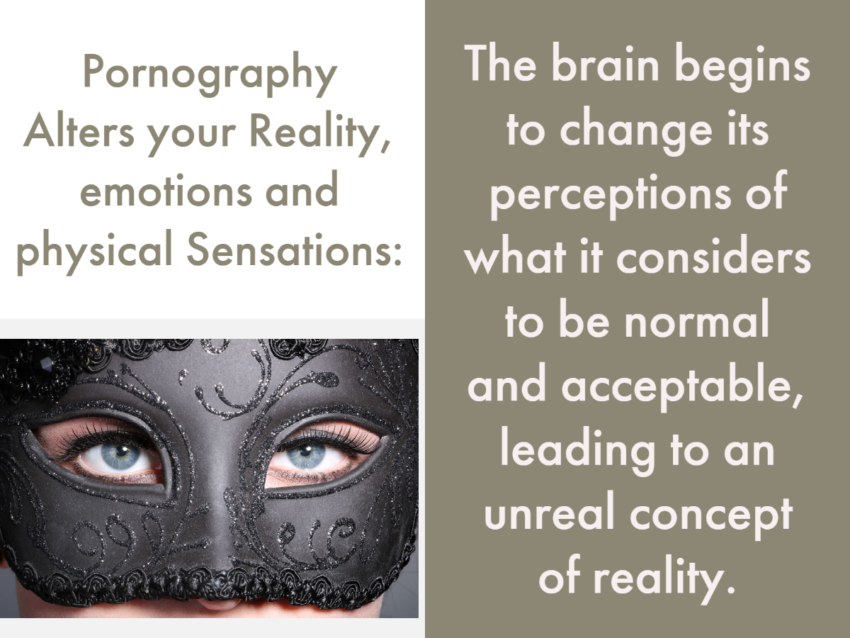 Pornography as a catalyst for violence against women.