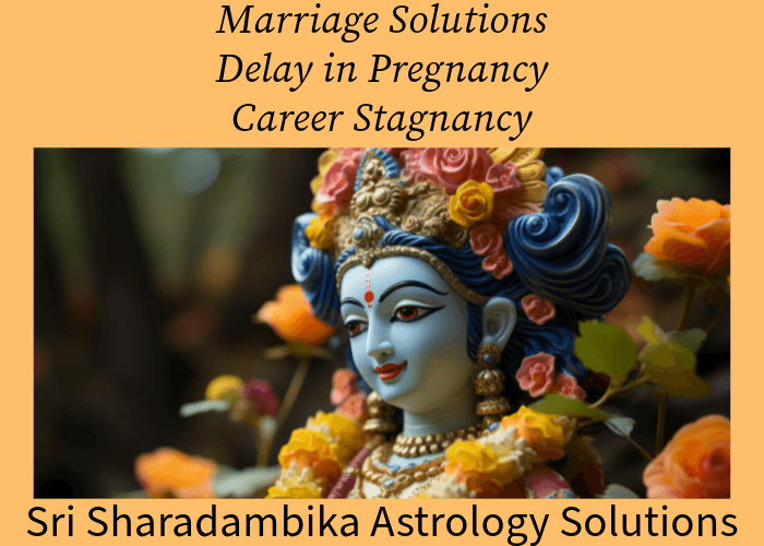 Marriage and Career Solutions