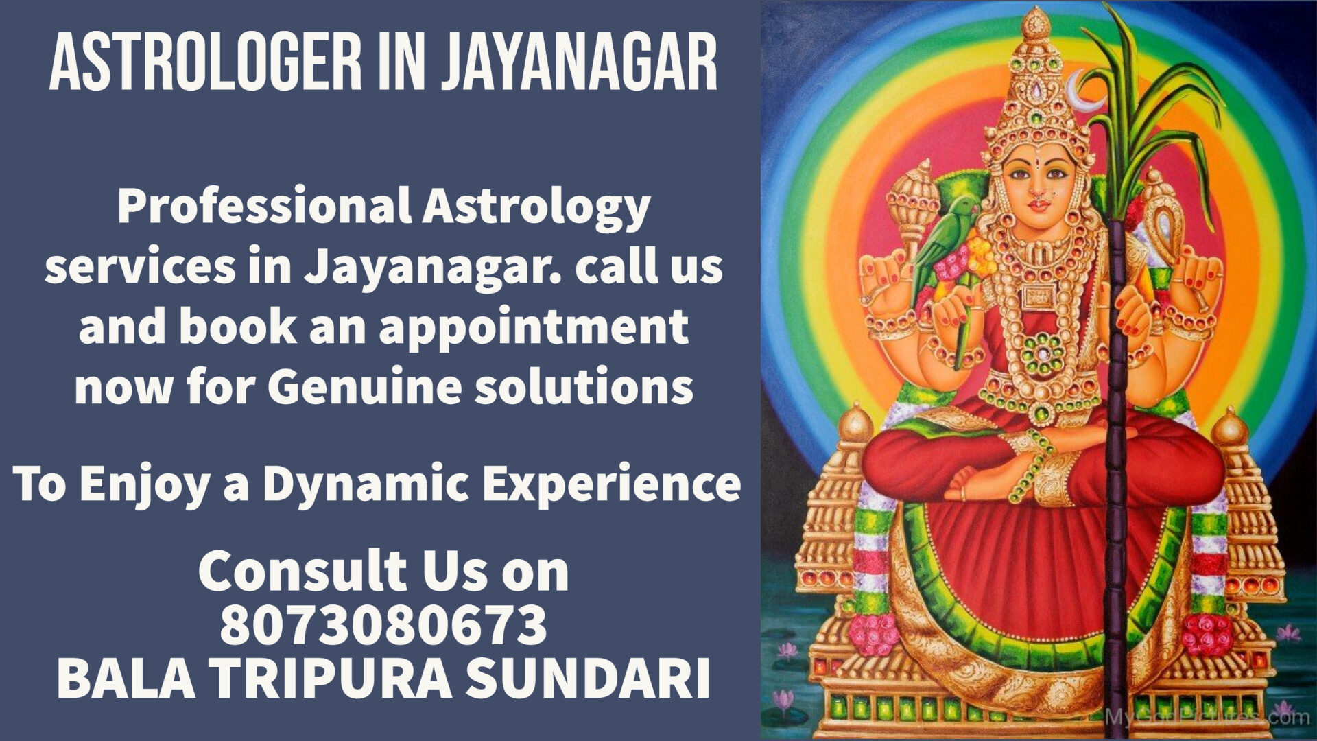 astrology services in Jayanagar